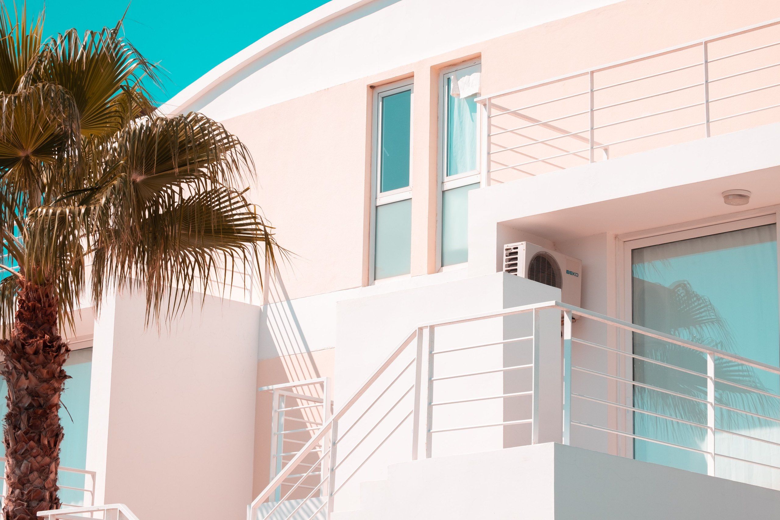 Palm fronds in front of a timber and white home